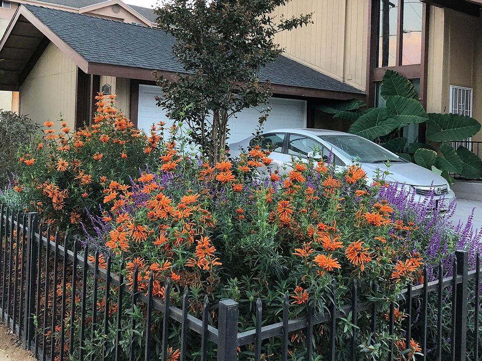 Beautifully landscaped property.