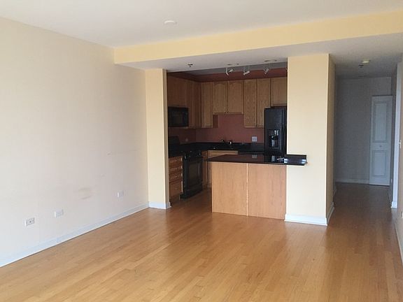 3rd image of 1250 S Michigan Ave APT 1606