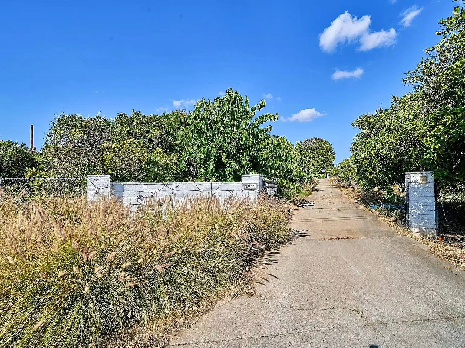 4 bed, 2500 sqft, $3,900 — Photo 4