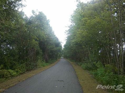 Northern View of Riding Trail