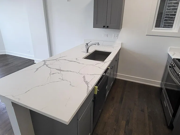 1916 S Leavitt St #3F — Photo 6