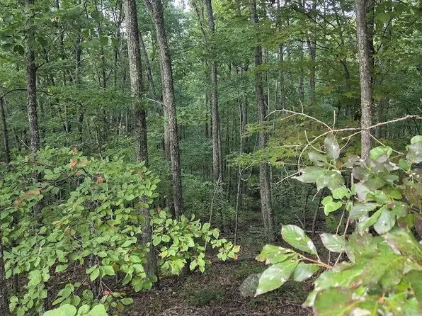 2 Sunset Dr Lot 2, Sevierville, TN 37876