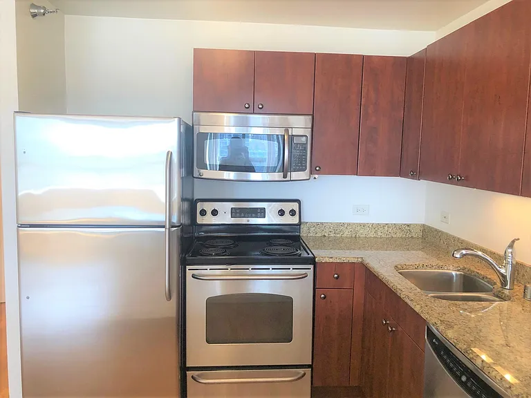 474 N Lake Shore Dr #4401 — Photo 5