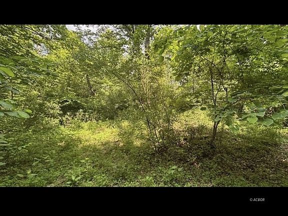 5th image of 14500 Wolfe Rd