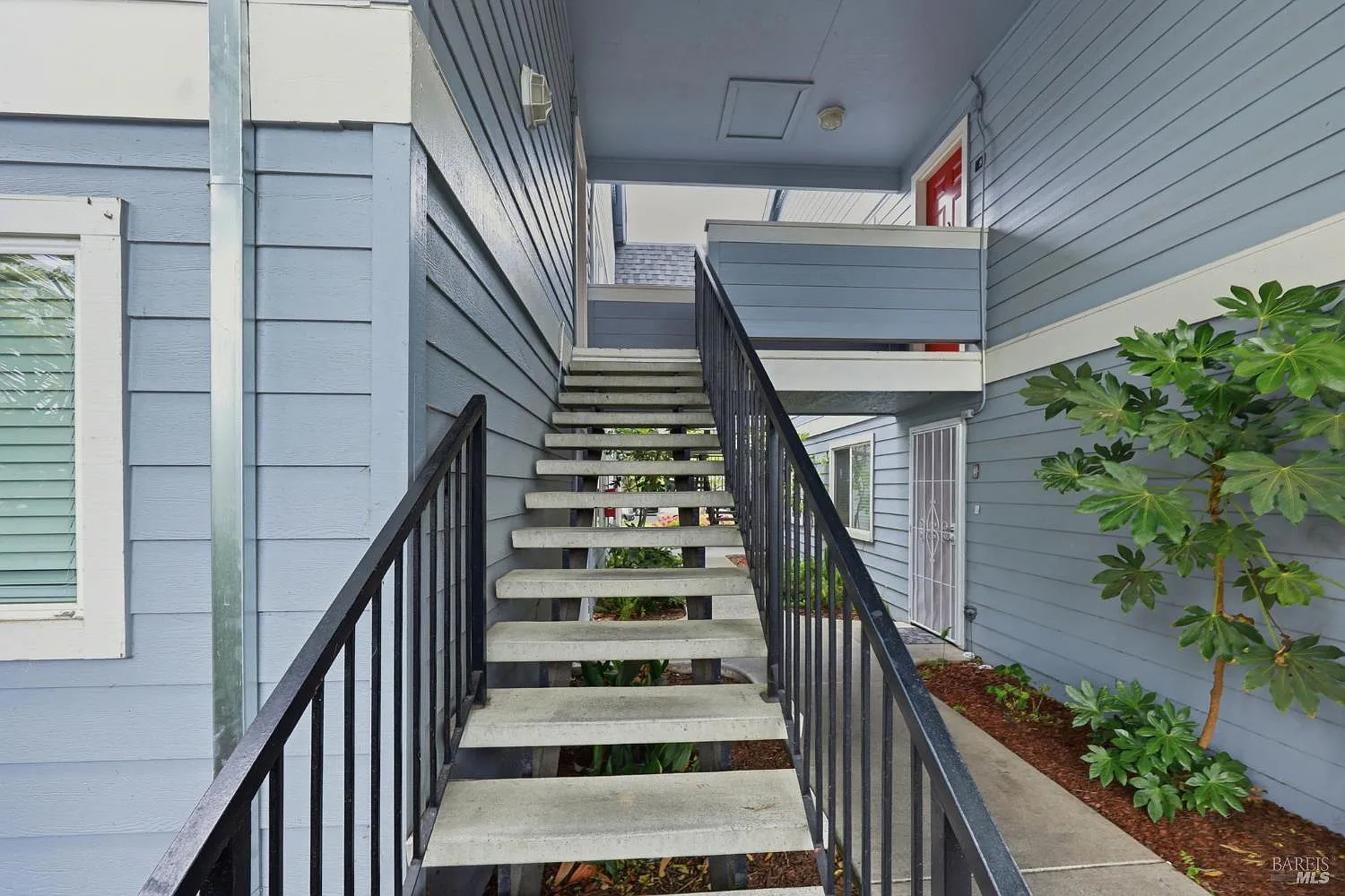 225 Burt Street #9 - Photo 4