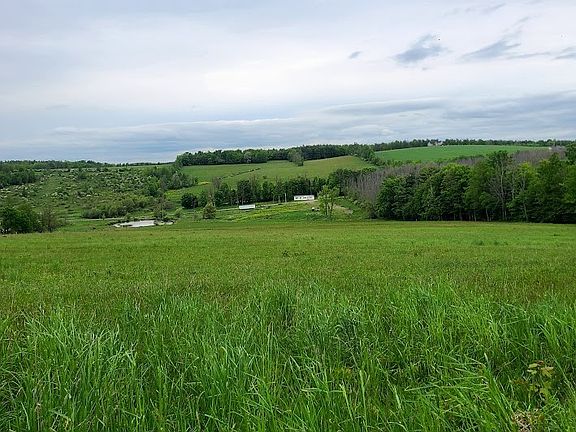 3rd image of 10815 Church Creek Rd Lot 8
