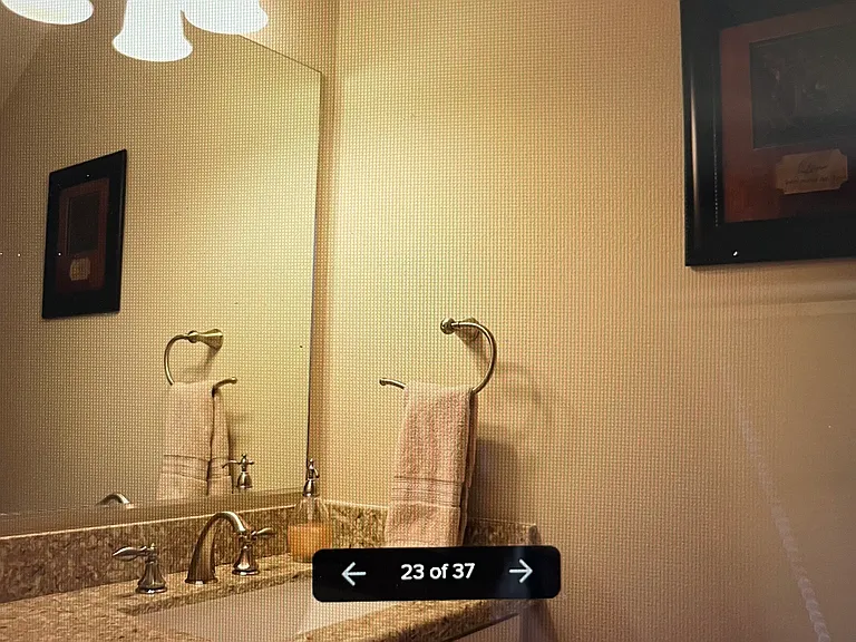 6223 Borg Breakpoint Dr — Photo 32