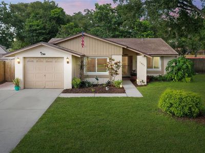 7003 Monterron Ln, Tampa, FL, 33625