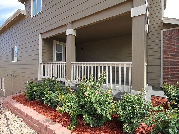 Rose Bushes on front photo