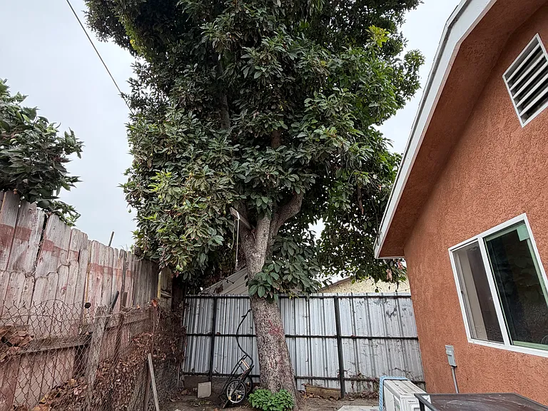 2134 E Shauer St — Photo 21