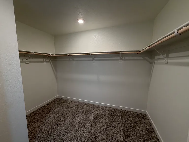 Primary (master) Closet