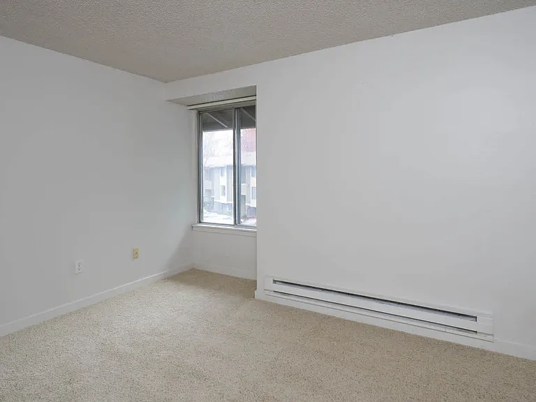 Carpeted Bedroom