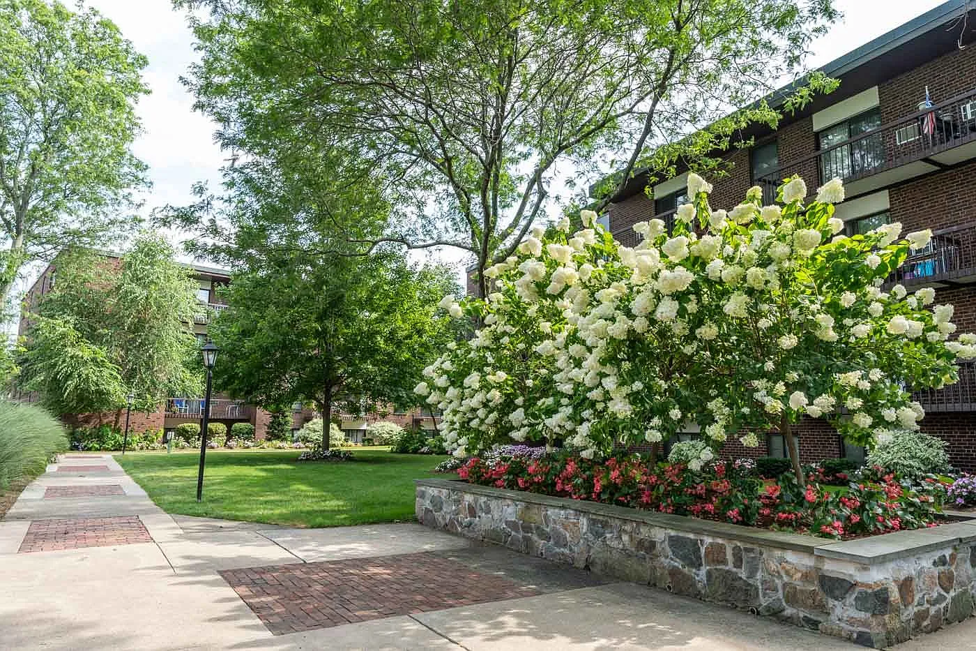 Quincy Commons — Photo 4