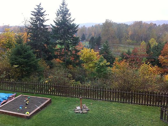 back yard