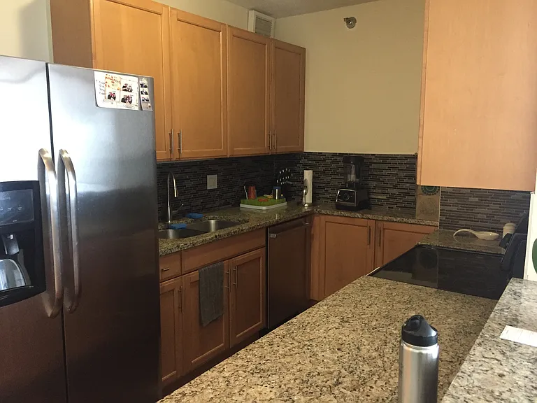 400 N Lasalle St #4102 — Photo 8