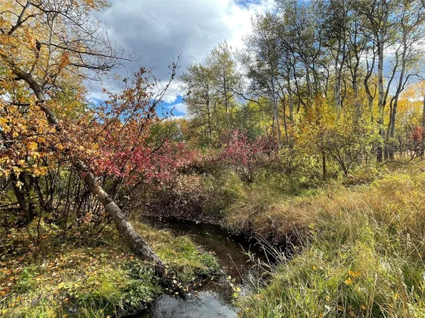 1918 Spring Creek Dr, Bozeman, MT 59715