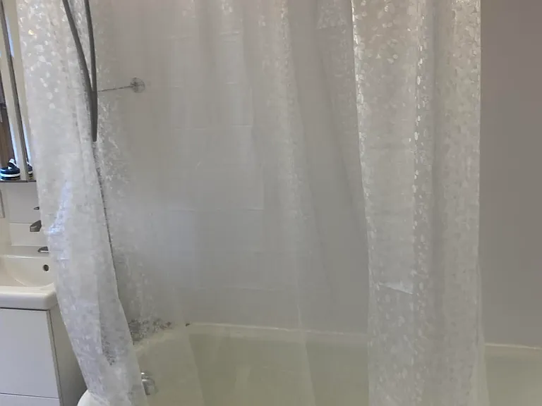 clawfoot tub with shower curtain