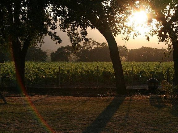 Evening Sunset over the Vineyard at Casa Estrella.