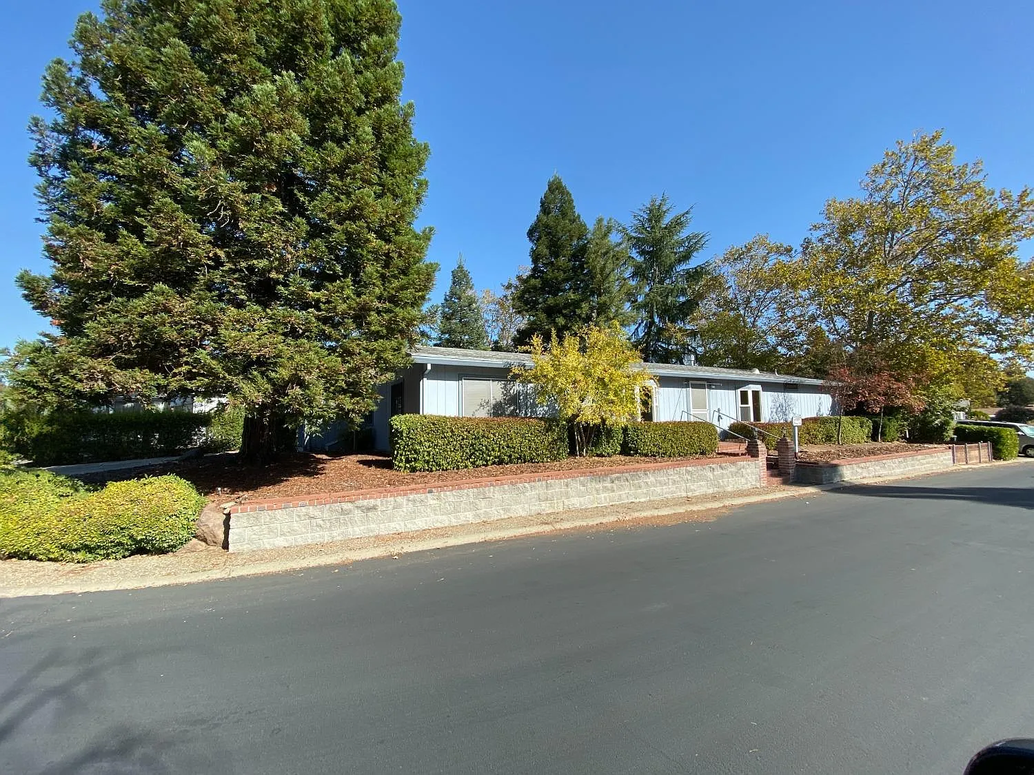 6900 Daisy Ln photo 1