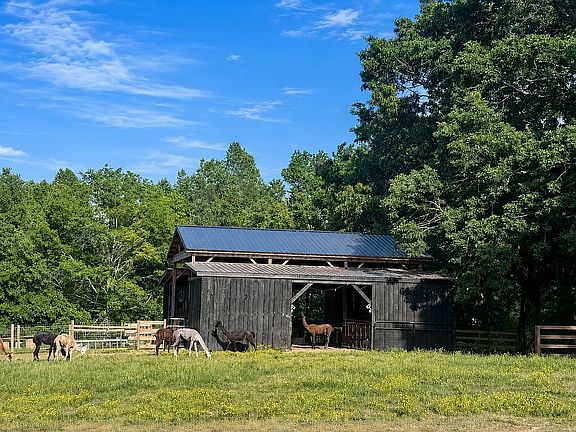 3rd image of 418 Creekmore Rd