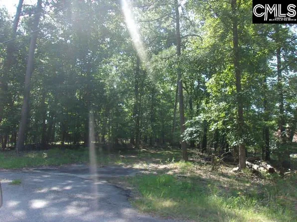 216 Rebecca Dr, Leesville, SC 29070