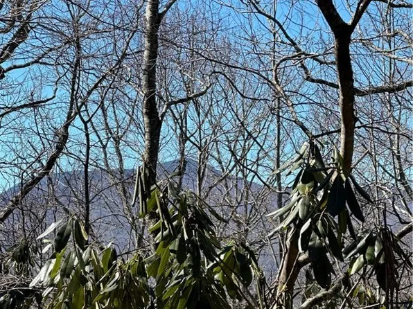 Lot 306 Misty Ridge Lane, Blowing Rock, NC 28605