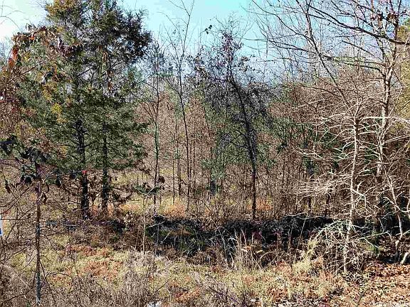5th image of 78 Largo Dr