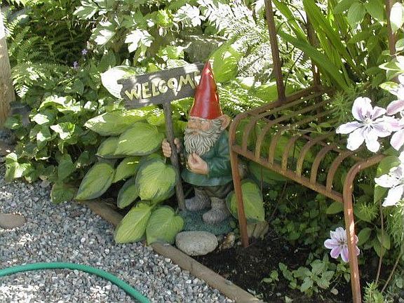 Beautiful and Lush Garden