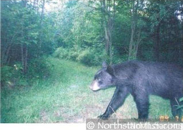 1st image of 2151 Timberland Trail