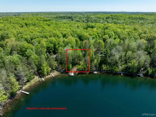 N1163 E Tie Lake Rd, Wetmore, MI 49895