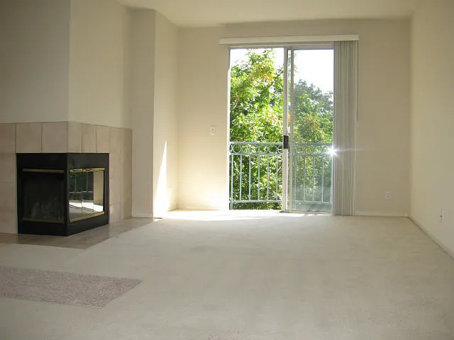951 S 12th St #207 — Photo 4