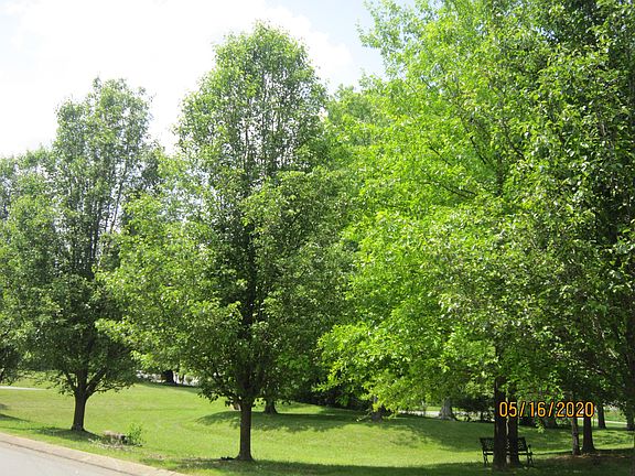 4th image of 107 Millstone Way