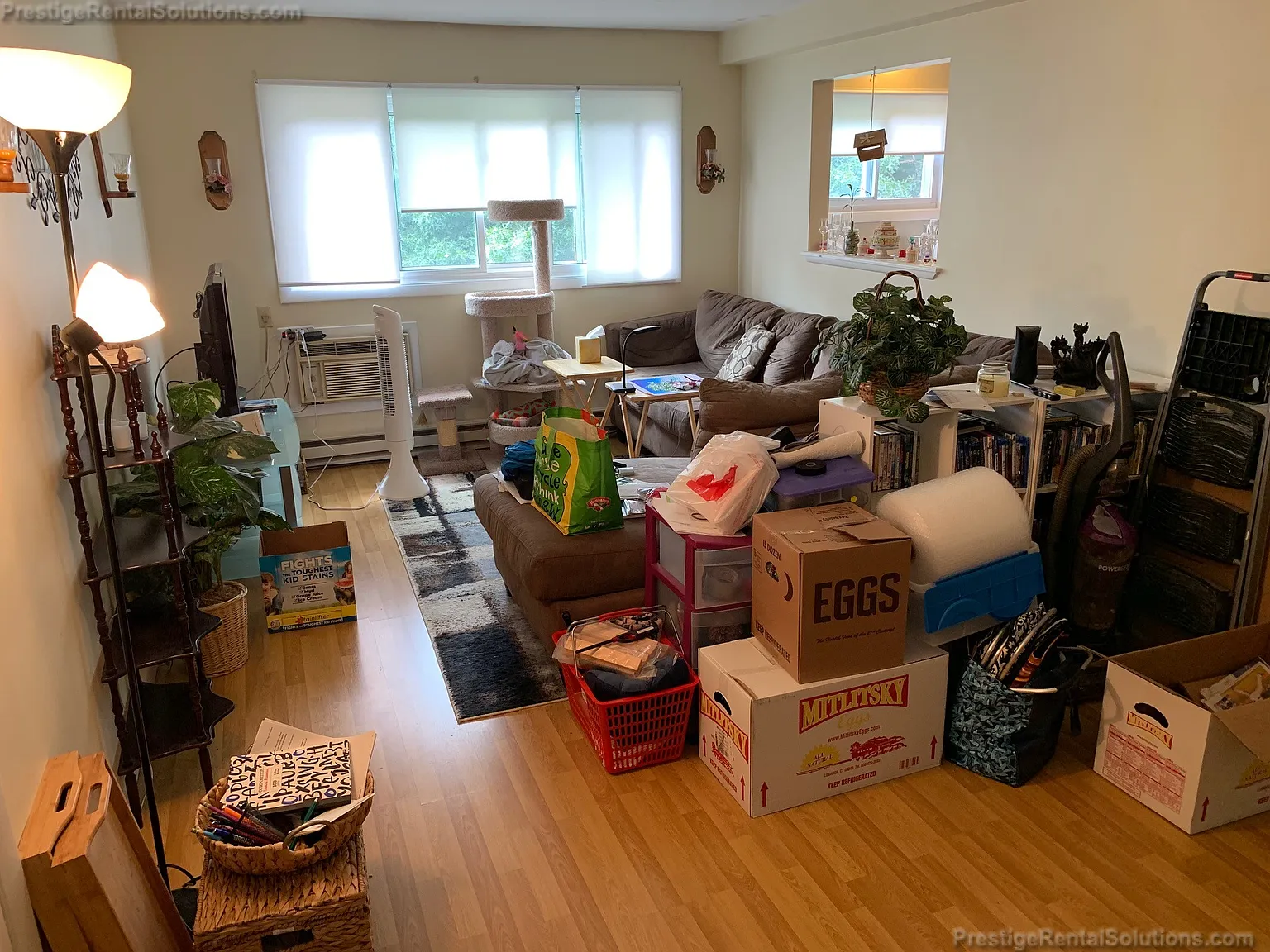 2 bed, 1.0 bath, 979 sqft, $1,895 — Photo 2