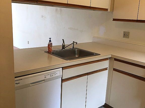 Kitchen sink & dishwasher