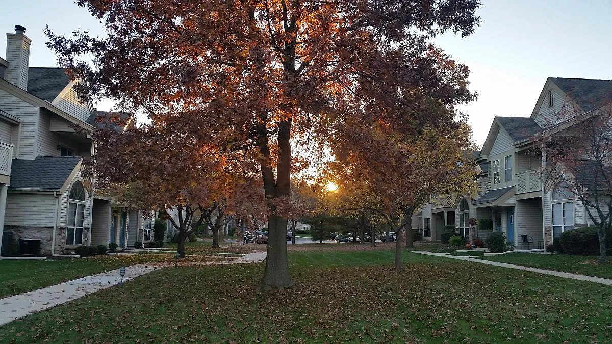 2 bed, 1038 sqft, $2,250 — Photo 3