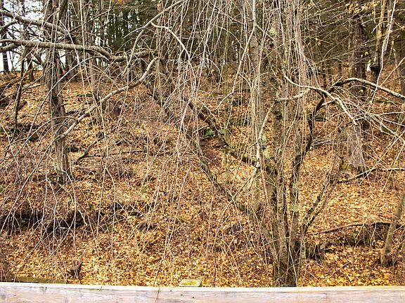 4th image of 29 Schultz Rd #2