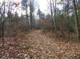 0 McDermott Ln, Westerlo, NY 12193