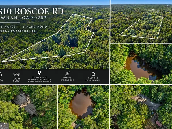 2810 Roscoe Rd, Newnan, GA 30263