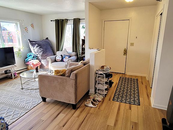 Entryway and Living room