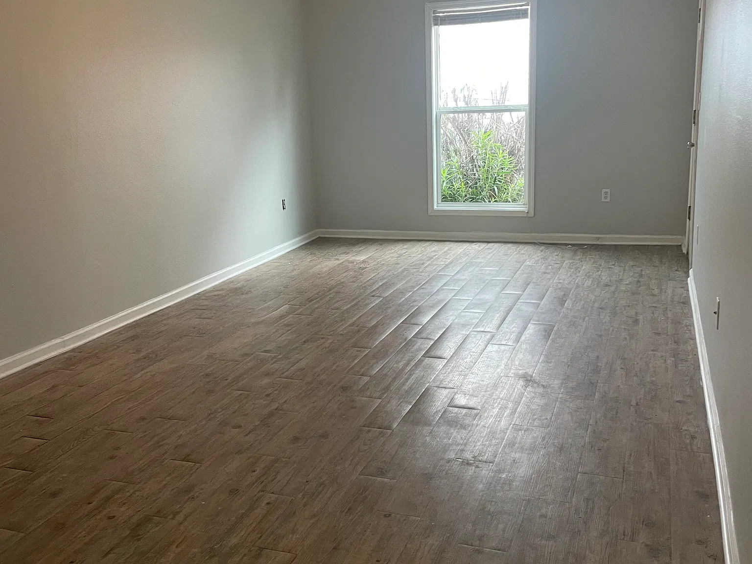 1 bed, $975 — Photo 1