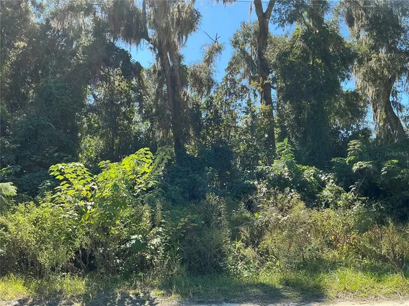 0 SE 134th Pl Lot 1, Belleview, FL 34420