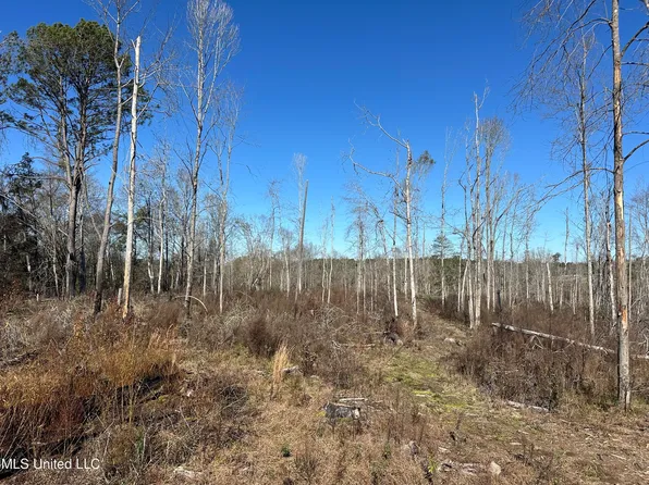 Wesson Game Ln, Wesson, MS 39191