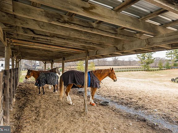 3rd image of 11512 Morning Ride Dr