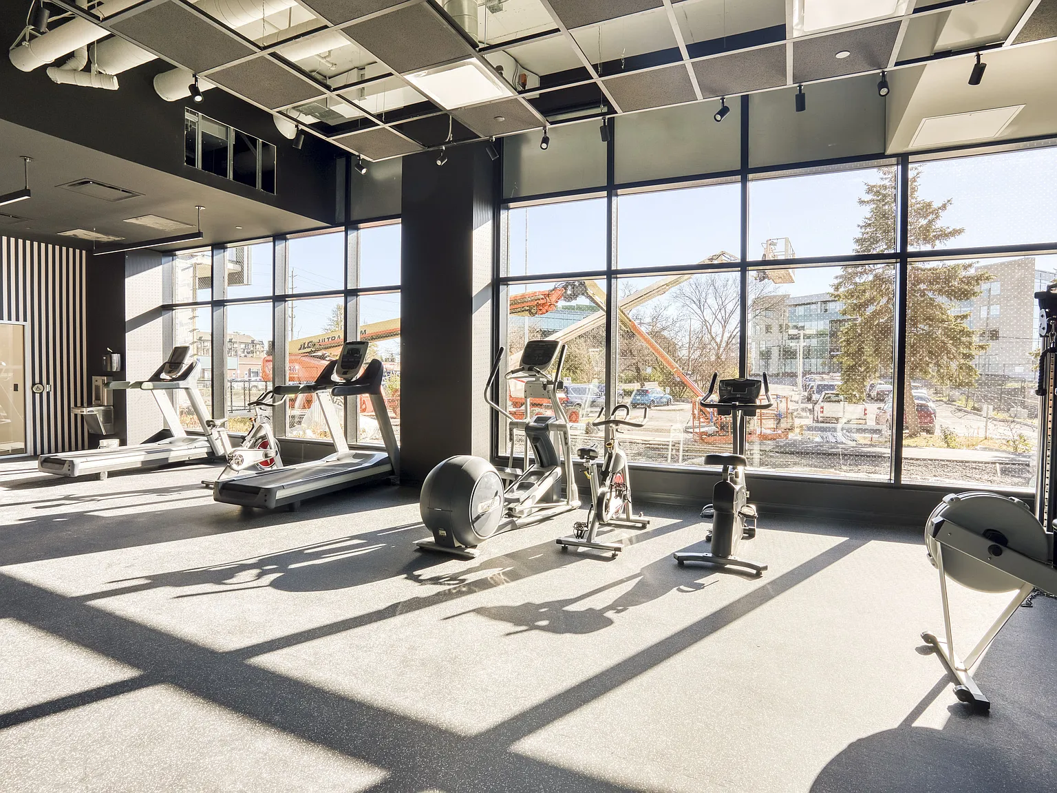 Luxo — Photo 3