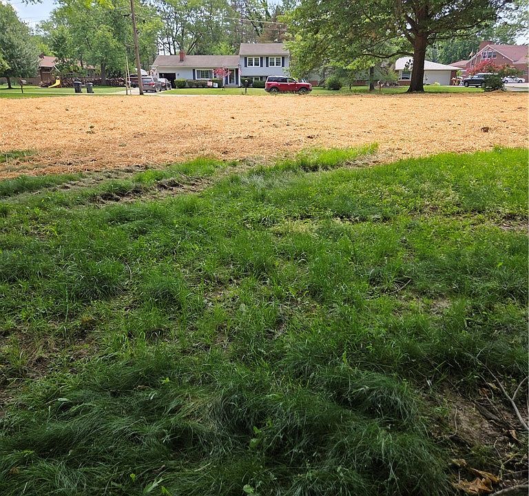 2nd image of 1065 Rosealee Ave