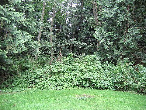 Back yard ends at a Greenbelt