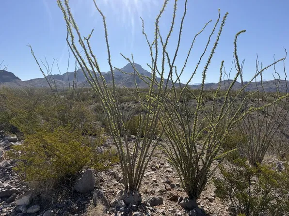 Township Road 26 Wildcat Dr, Terlingua, TX 79852