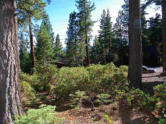 2nd image of 134 Mammoth Dr