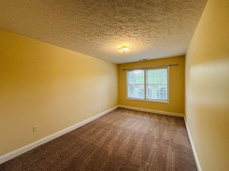 230 Willow Oak Dr — Photo 12