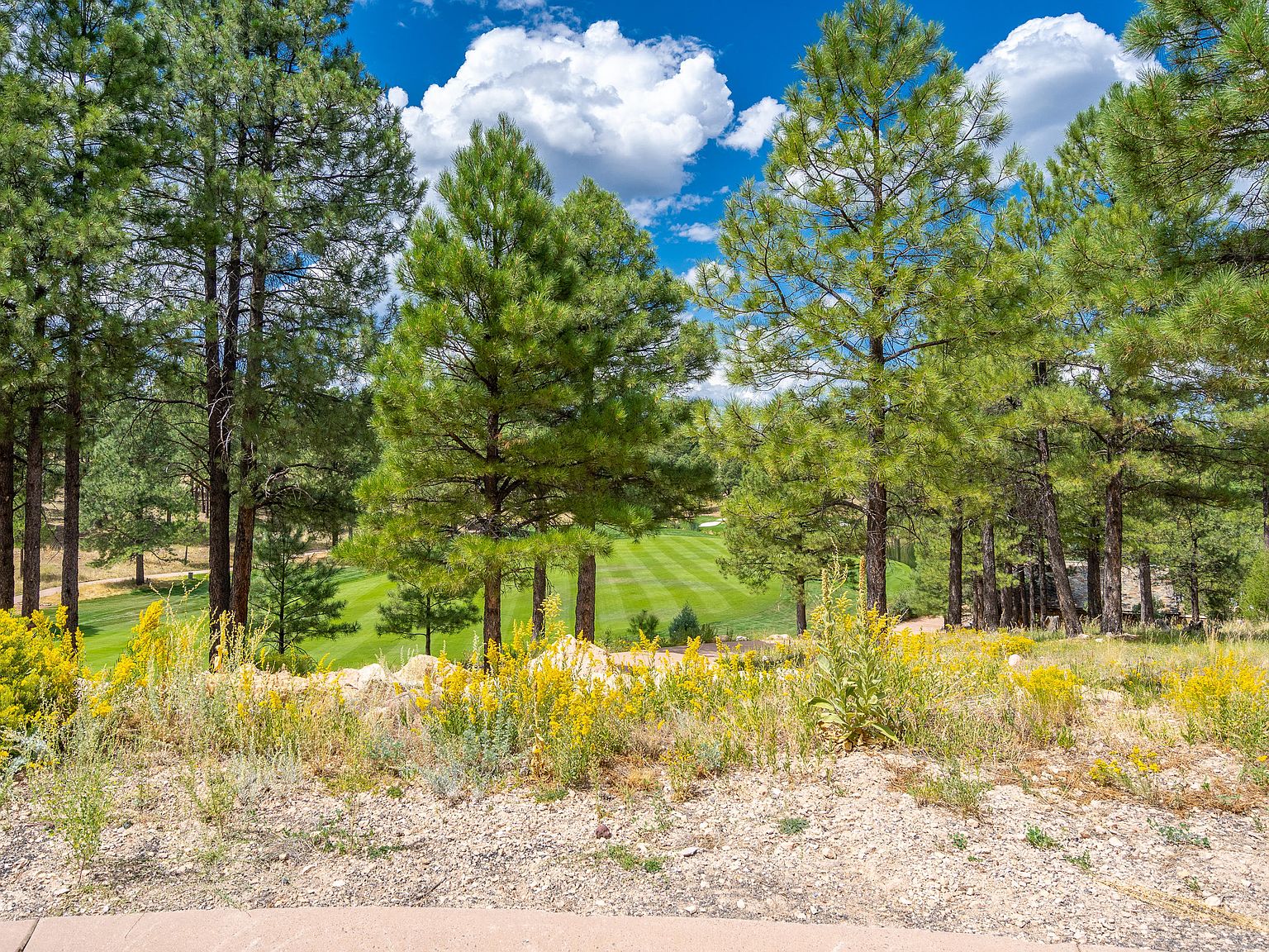 1905 E Iron Horse Ct LOT 256, Flagstaff, AZ 86005 Zillow